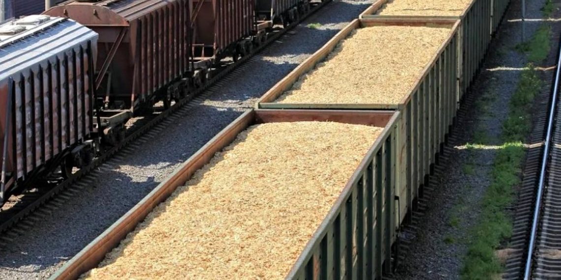 Зерно з України.