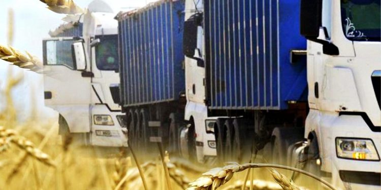 Вивезення зерна.