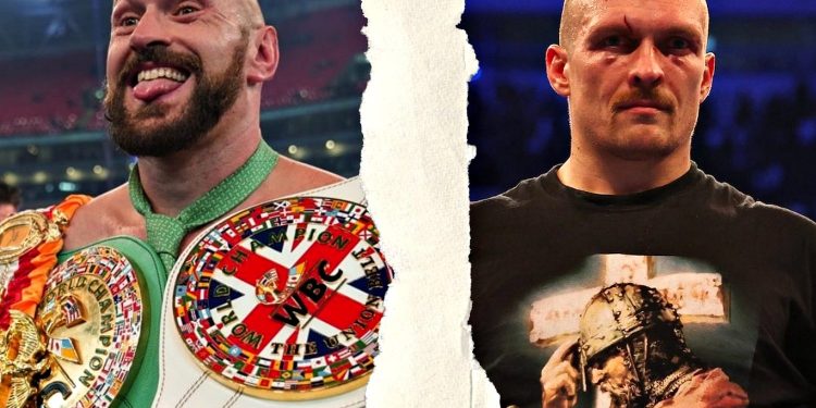 Ф'юрі та Усик.