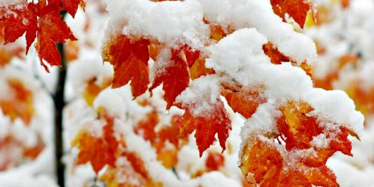 Погода в Україні.