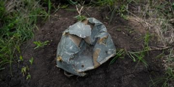 Втрати окупантів