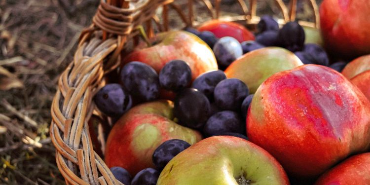 Яблука та виноград.