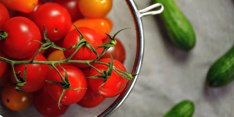 Огірки та помідори.