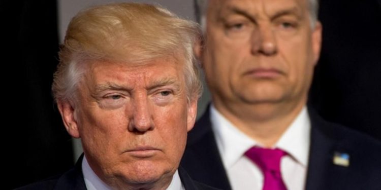 Дональд Трамп і Віктор Орбан
