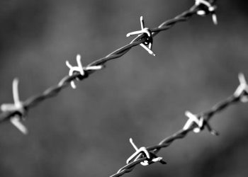 Колючий дріт.