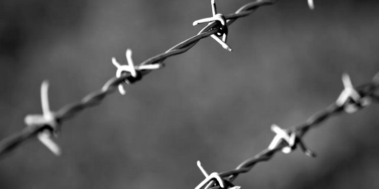 Колючий дріт.