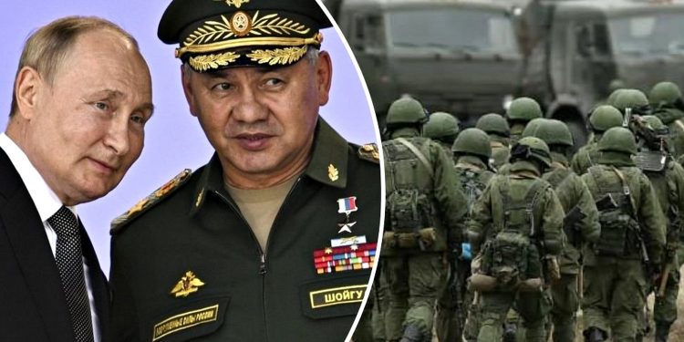Путін, Шойгу та окупанти.