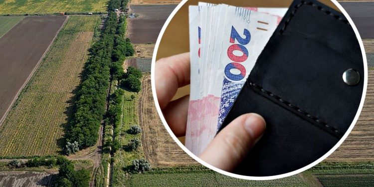 Налогообложение огородов и земельных паев: что изменилось в уплате сборов на фоне войны в Украине