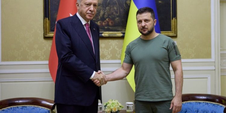 Зеленський та Ердоган