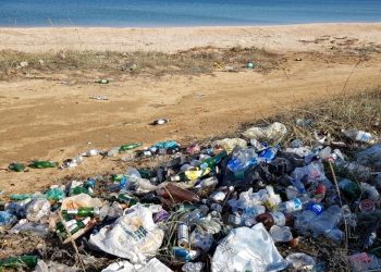 Сміття на Арабатській стрілці.