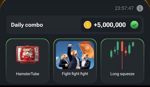 Новое комбо Hamster Kombat