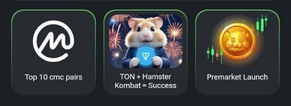 Новое комбо Hamster Kombat