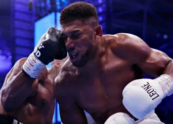 Бій Даніеля Дюбуа та Ентоні Джошуа.