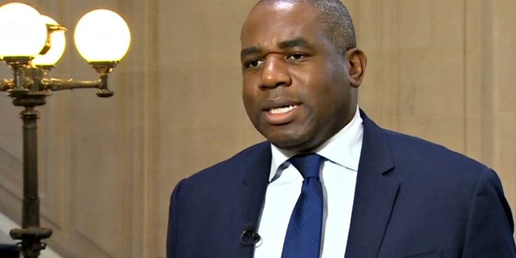 Девід Леммі.