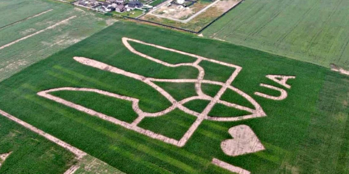 Землі України.