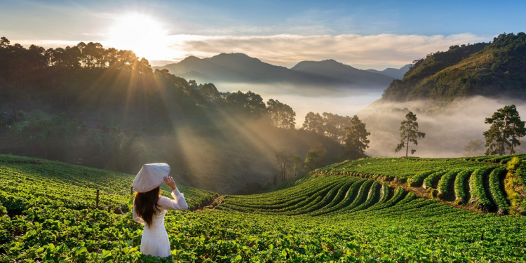 туры в Вьетнам