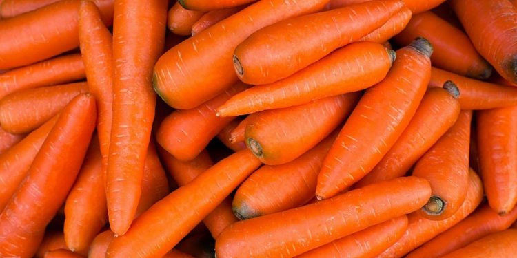 Морква.