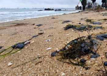 Узбережжя Криму.