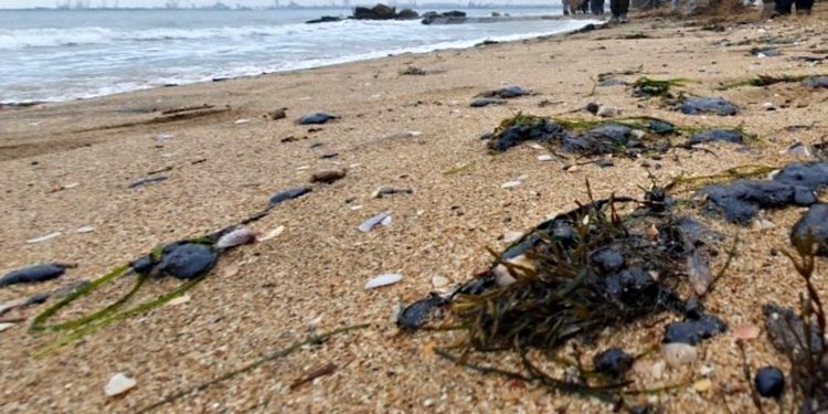 Узбережжя Криму.