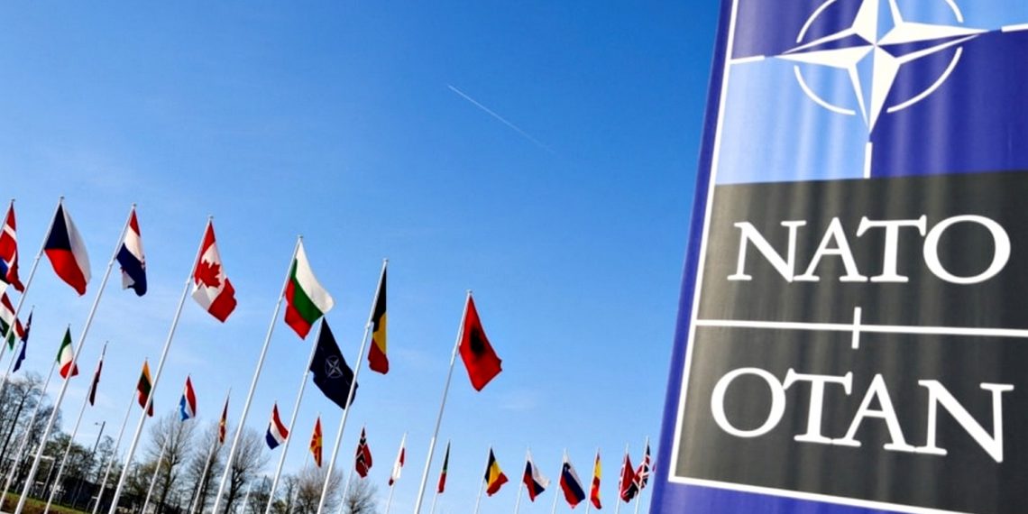 Прапори країн НАТО.