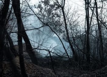 Серебрянський ліс