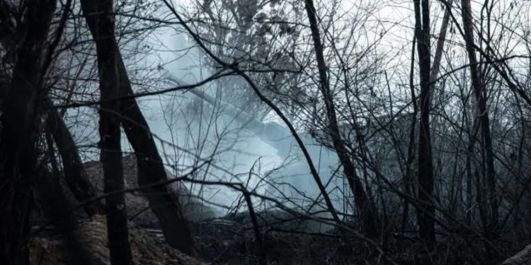 Серебрянський ліс