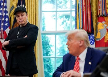 Ілон Маск і Дональд Трамп