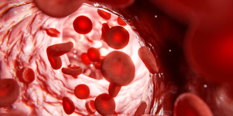 Гематология