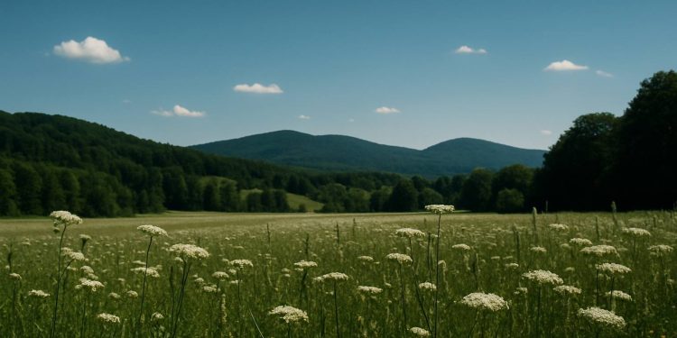 Прогноз погоди на 6-7 вересня.