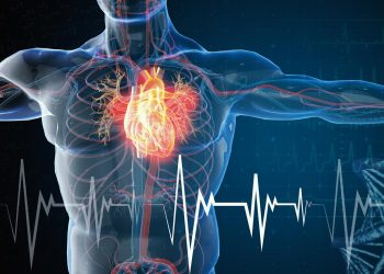 Організм людини.