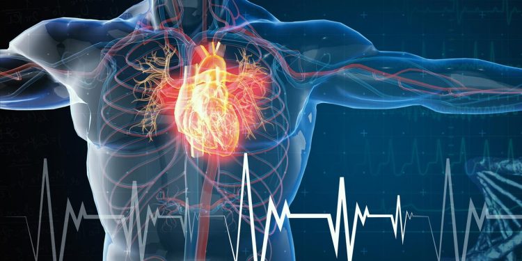 Організм людини.