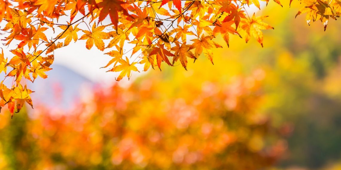 Погода на вихідні.