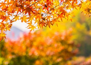 Погода на вихідні.