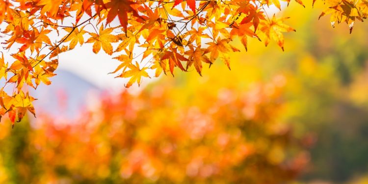 Погода на вихідні.