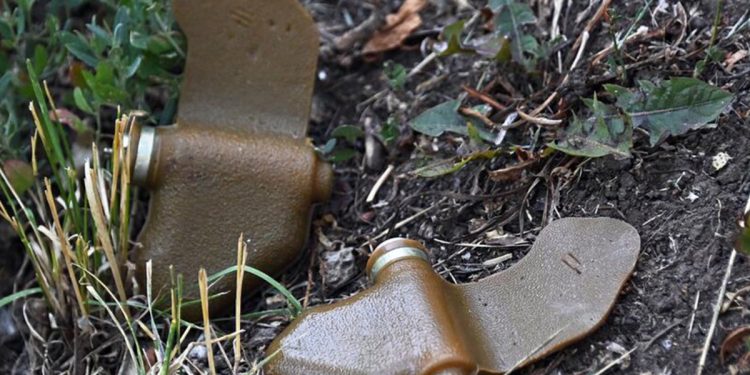 Міни "пелюстки"