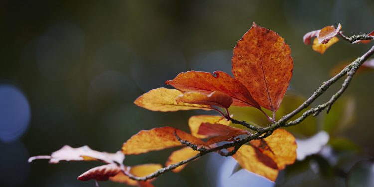 Погода на вихідних.