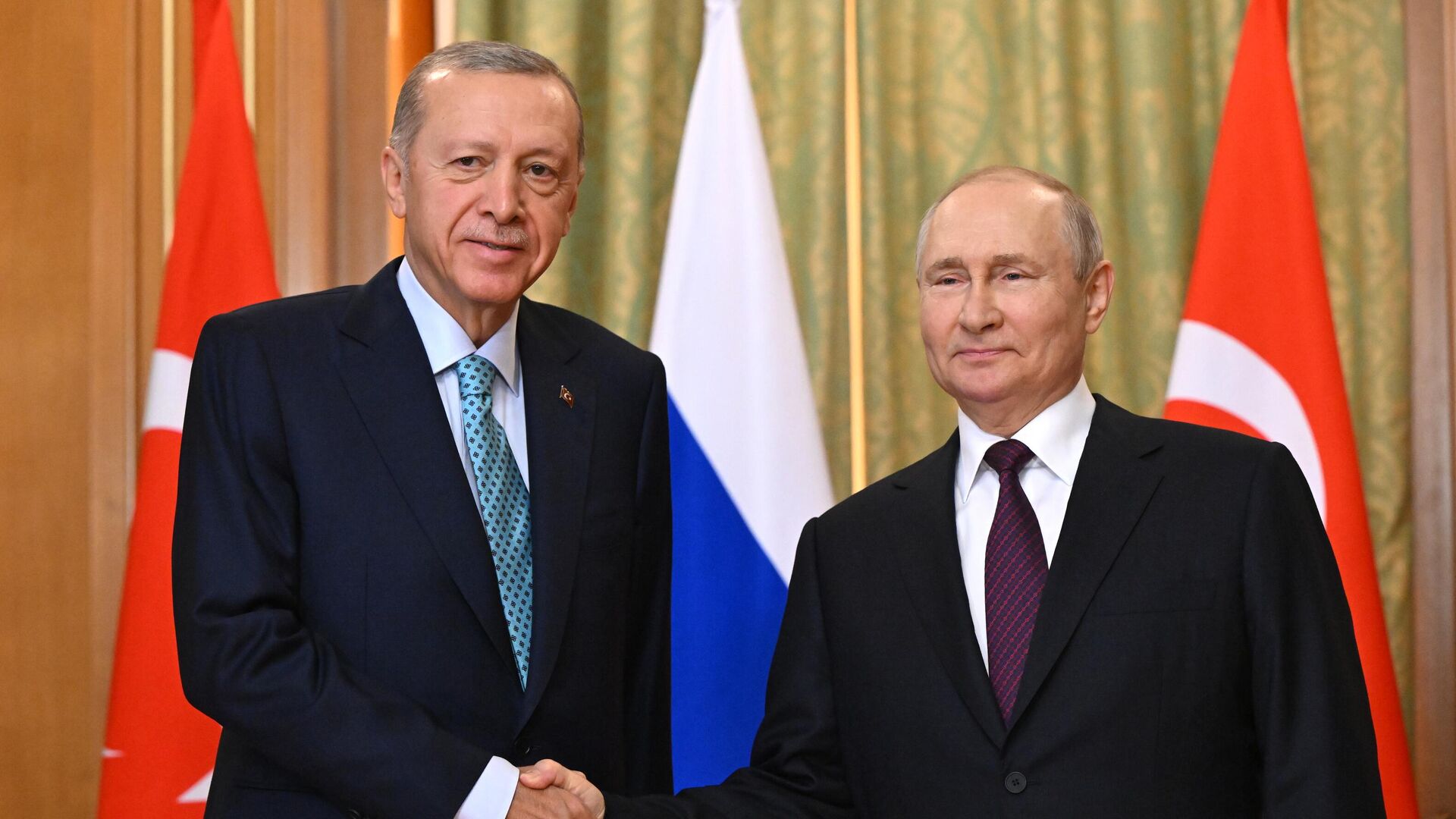 Володимир Путін та Рейджеп Ердоган.