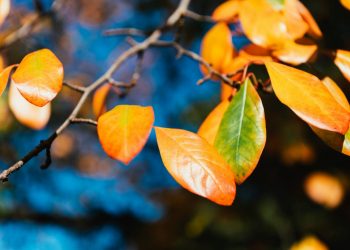 Погода на вихідні.