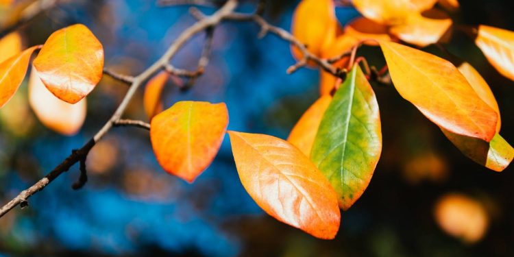 Погода на вихідних.