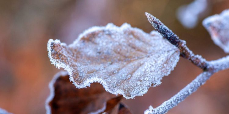 Погода на вихідні.