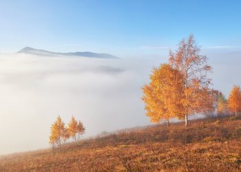 Осіння погода.