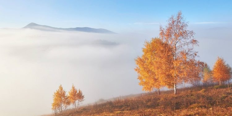 Осіння погода.