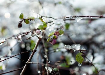Погода на вихідних.