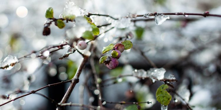 Погода на вихідних.