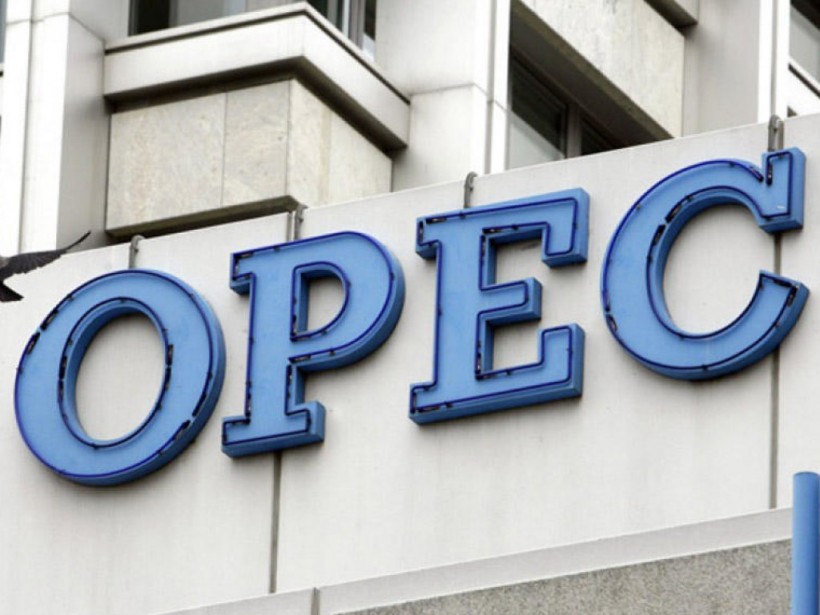 Страны ОПЕК решили сократить добычу нефти
