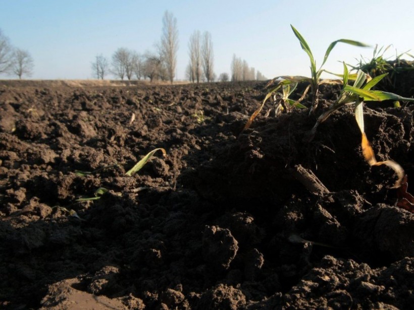 Украине необходимо найти рыночный механизм определения цены на землю – депутат