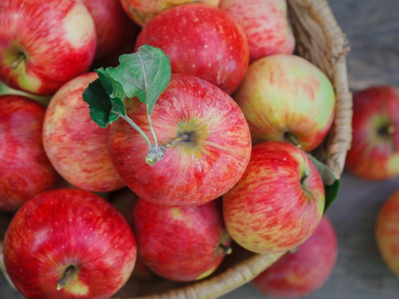 В зимнее время яблоки помогут сохранить фигуру и повысить сопротивляемость вирусам - врач