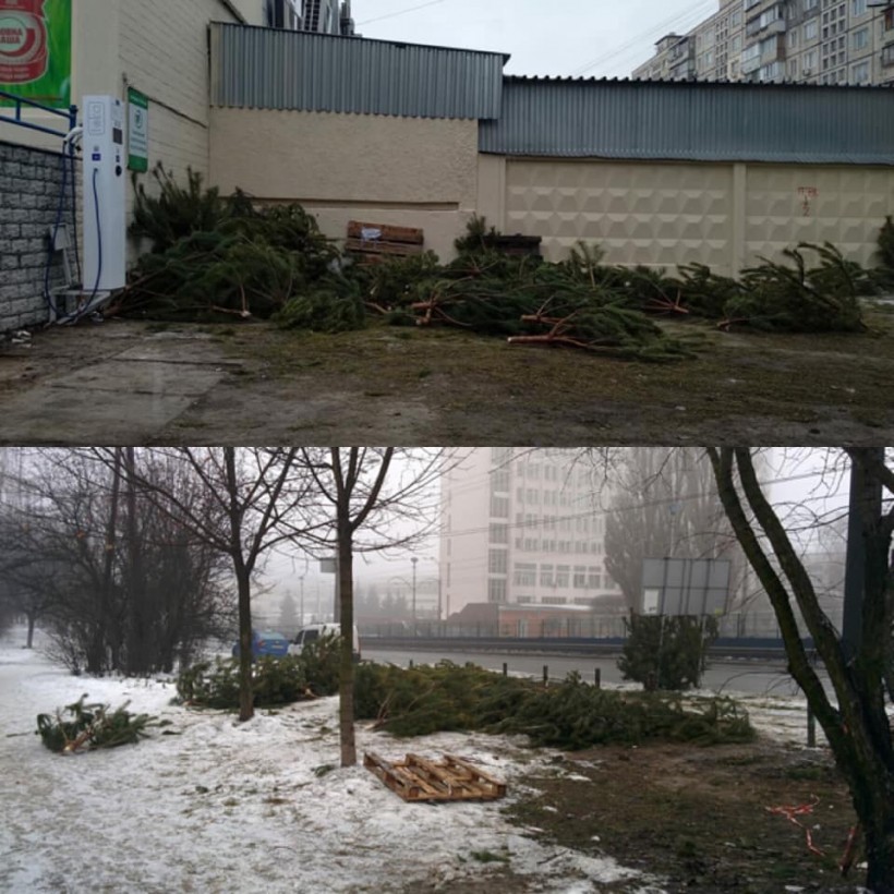 «Кладбище» непроданных елок обнаружили в двух районах Киева (ФОТО)